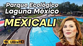 INAUGURAN PRIMERA ETAPA DEL PARQUE LAGUNA MÉXICO