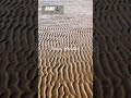 The Tide Left a Masterpiece. #asmr #nature #tides #masterpiece #mindfulness