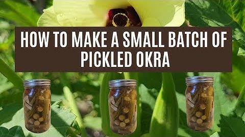 How To Make Small Batch Pickled Okra - No Water Bath Required