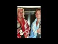 What Hulk Hogan, Ric Flair and Greg Valentine have in common