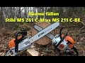 Bäume fällen und Kettensägen-Test Stihl Ms 211  C-BE vs Ms 261 C-M