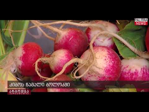 ვიდეო: ბოლოკის სასარგებლო თვისებები