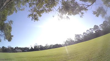 Celebratory flight // ZMR250 // Betaflightv2