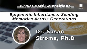 Virtual Café Scientifique | Epigenetic Inheritance