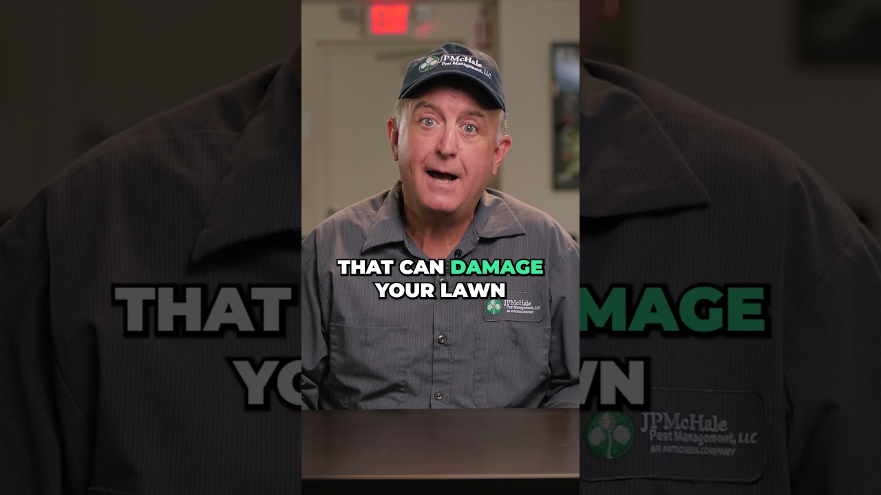 STOP Watering Your LAWN At NIGHT! 