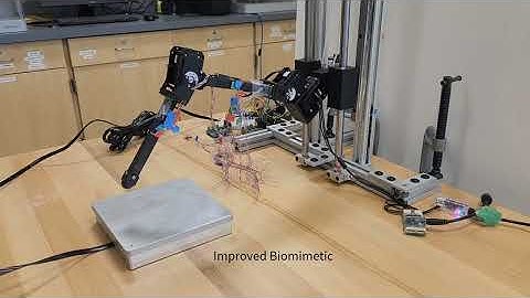 Standing: Dynamic Force Feedback Controller Improves Metrics of Stepping in a Biomimetic Robot Leg