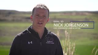 Jorgensen Land and Cattle - Strategic use of Multimin® 90 provides trace minerals to support herd