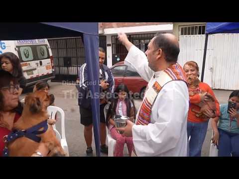 Catholics in Peru take their pets to mass