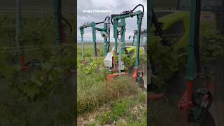 Mulching Brush Multiclean With Over Row Frame || Made By Clemens Technologies Germany || #Shorts