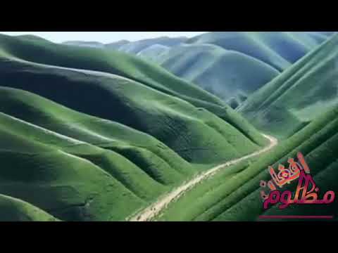 زه مجنون ته می لیلا