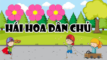 Trò chơi hái hoa dân chủ - mừng ngày nhà giáo việt nam 20/11