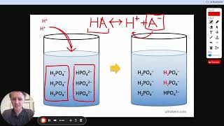 MCAT Question of the Day: Buffer Solutions