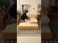 木の温もりが心地よい🌳 収納付きソファベッド #インテリア #tiaro #ティアロ #home #sofabed #homedecor #sofa #furniture