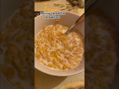 Have You Guys Had Breakfast Yet Caroline Carole Usashorts