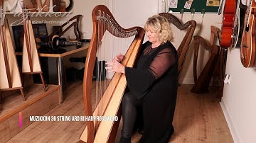 Muzikkon 36 String Ard Ri Harp Rosewood Played By Ann Tuitte