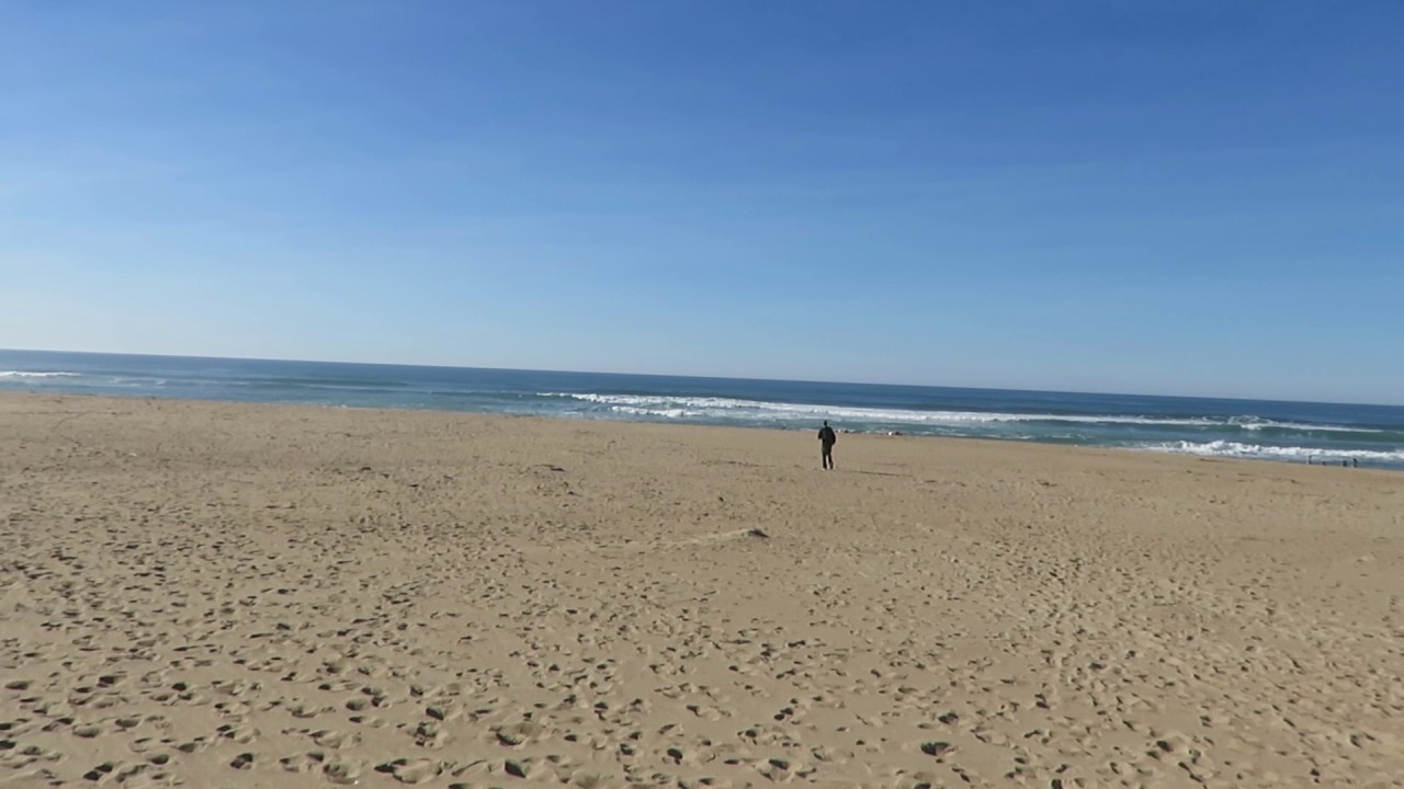 Dunes and beach Rancho Guadalupe Dunes Preserve Guadalupe