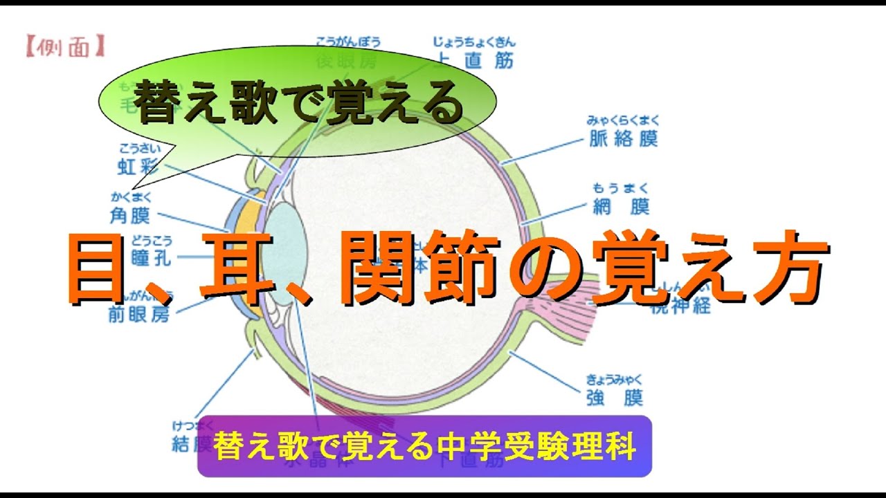 生物関係 替え歌で覚える中学受験理科 社会