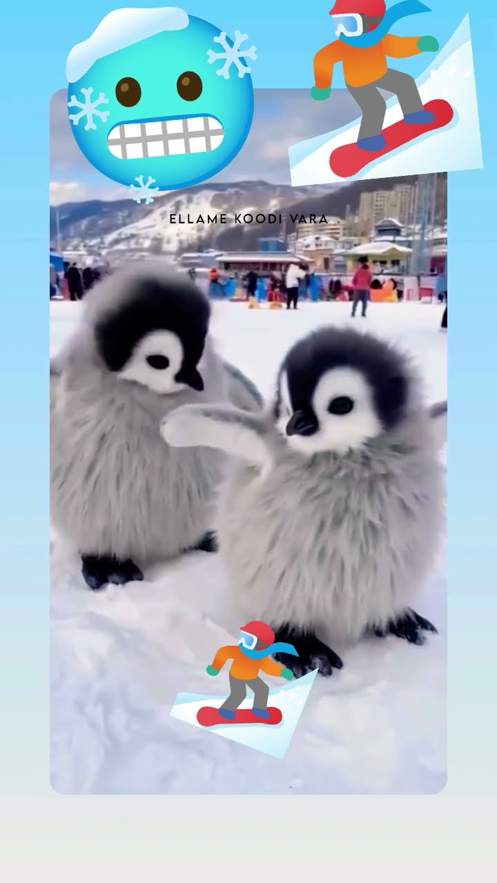 🥰அனிமேட்டட் காதல் ஸ்டேட்டஸ் - ShareChat