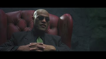 DID THE MATRIX PREDICT THE FUTURE? AI TAKEOVER?