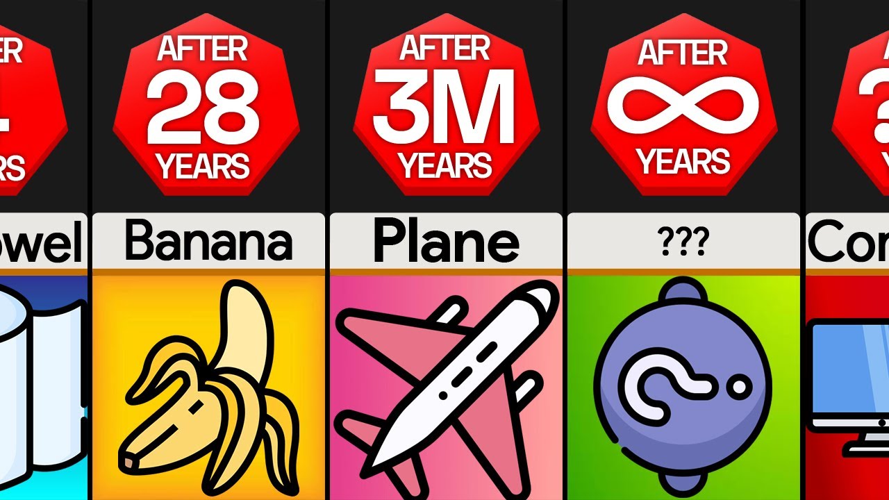 Timeline: How Long It Takes To Decompose?