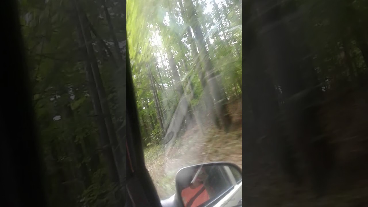 Going to warriors path riding stables