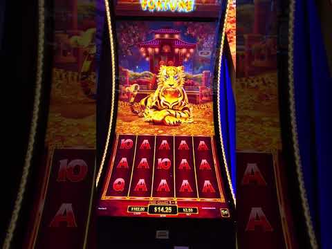 Geldspielautomat Löwen Online-Casino spielen: Ihre Anleitung zum Spiel