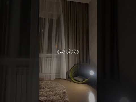 ولا تخافي ولا تحزني إسلام صبحي قران كريم سورة القصص مواساة ربانية للنساء