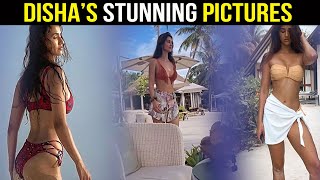 Check Out Unmissable Bikini Looks Of Disha Patani