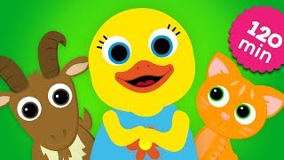 English Words - Animals Collection Stories For Kids With Tillie Speaking Learning By Abc Fun