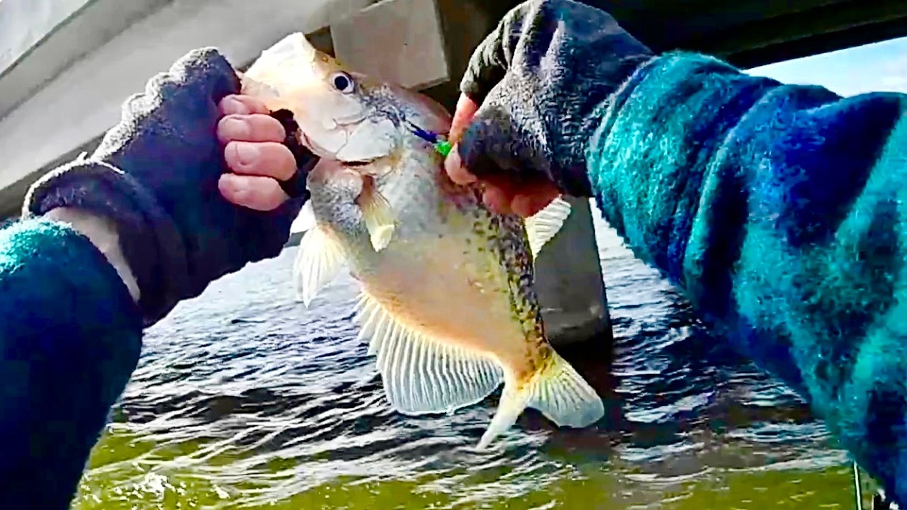 January Crappie Fishing can be Excellent