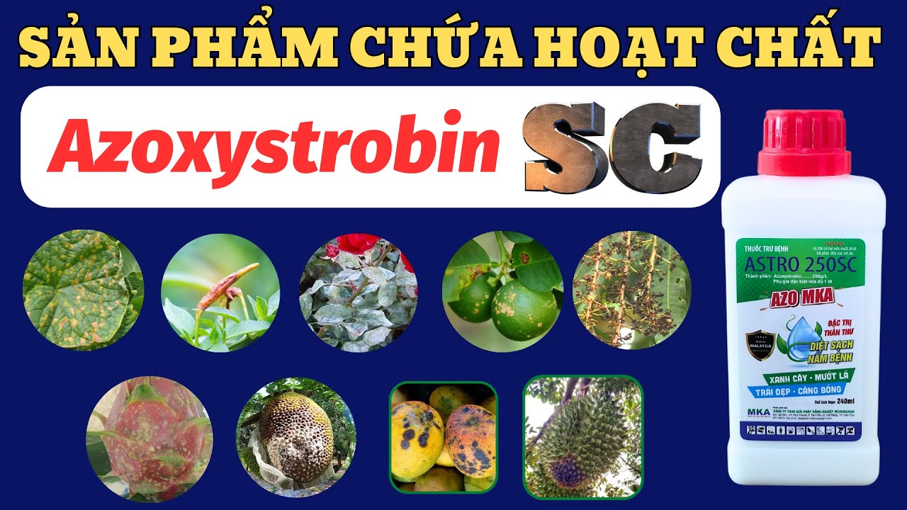 Sản phẩm có hoạt chất Azoxystrobin | Thán thư, thối trái, sương mai, phấn trắng, ghẻ sẹo và rỉ sắt