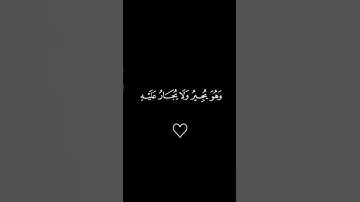 #quran #اكسبلور #التدبر #اطمئن_وتوكل_على_الله #راحة_نفسية #القارئ_ياسر_الدوسري #سورة المؤمنون