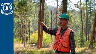 Meet Nate Anderson, Forest Service Researcher