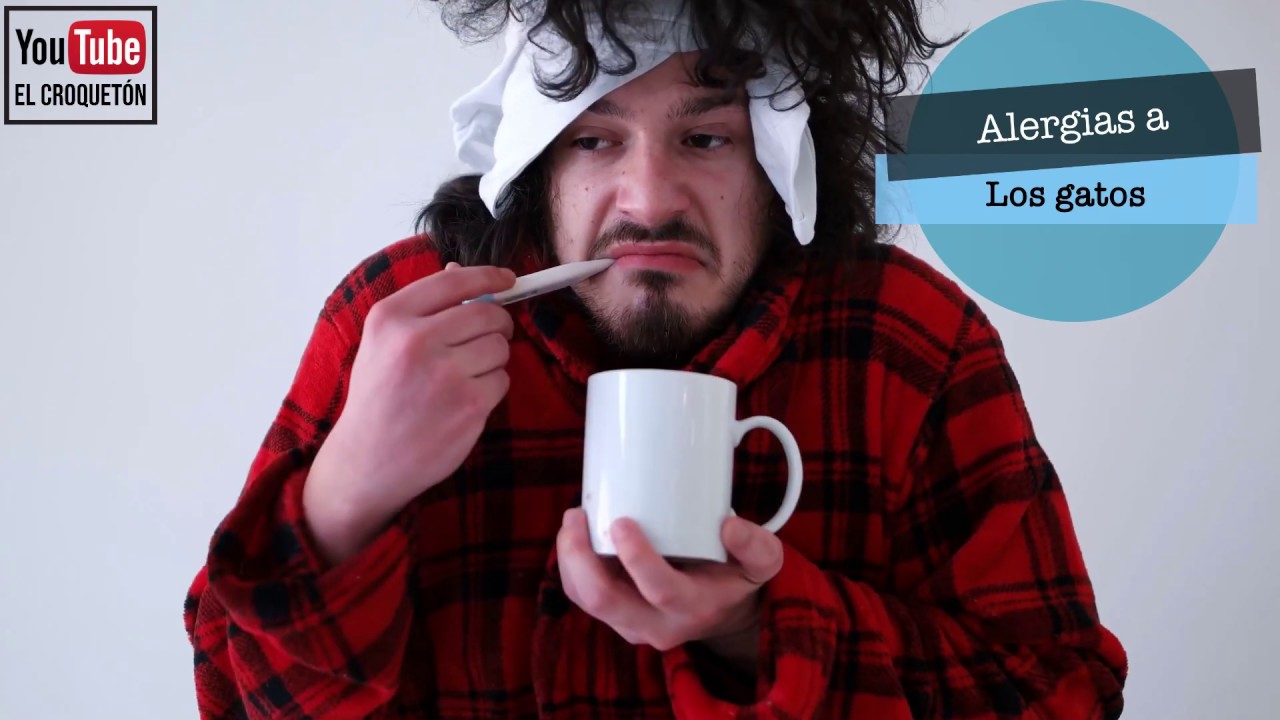 ALERGIAS A LOS GATOS | Cómo me quito la alergia a los gatos. - YouTube