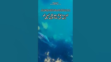 Quran Surat 28: سورتہ القصص آیت 81-82 ||Surah Al-Qasas || With Arabic Text (HD)| سورة القصص  #quran