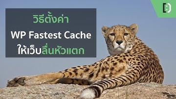 WP Fastest Cache ตั้งค่ายังไงให้เว็บลื่นหัวแตก