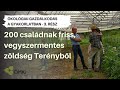 200 családnak friss, vegyszermentes zöldség Terényből - Ökológiai gazdálkodás a gyakorlatban 3. rész