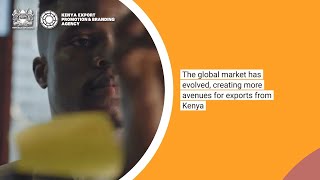 WHAT IS AN EXPORT PLAN