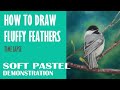 Comment dessiner des plumes moelleuses avec des pastels  oiseaux au pastel avec rita ginsberg