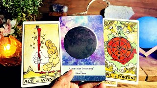 Taurus 🍀CONGRATULATIONS TAURUS…THIS IS BIG !!! ♉️Money Tarot