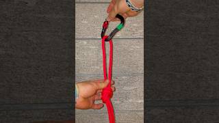 Asola Semplice Resimi