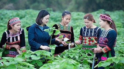 Khởi nghiệp của thanh niên dân tộc thiểu số trong kỷ nguyên số