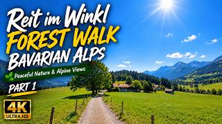 Relaxing Forest Walk with Stunning Alpine Views | Bavarian Alps in 4K