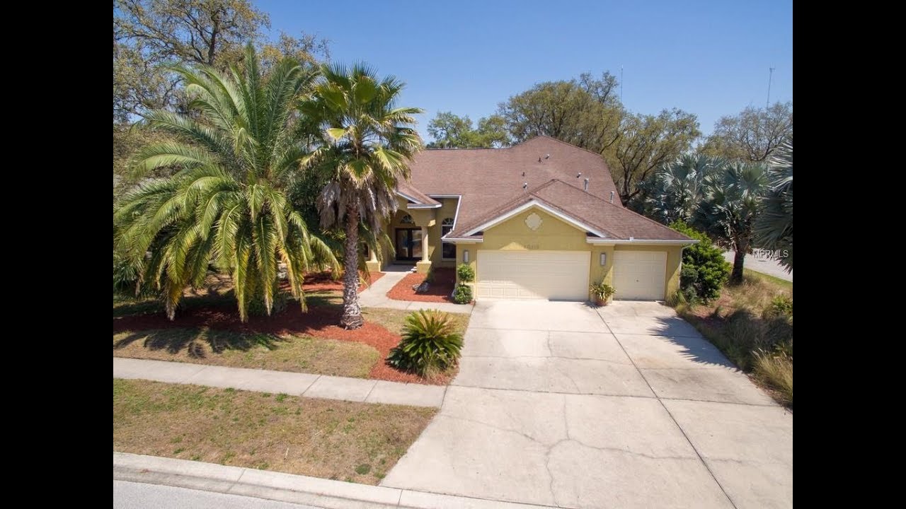 10116 Paddock Oaks Dr Riverview Best Realtor Duncan Duo RE/MAX Dynamic Home Video Tour