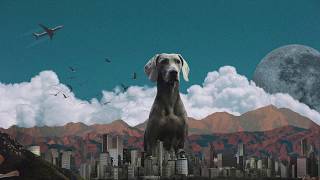 Jackal & the Wind - Big Dogs Bark (lyric video)