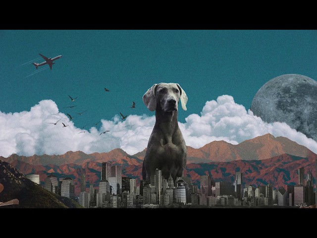 Jackal & the Wind - Big Dogs Bark (lyric video)