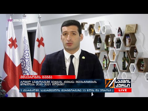 რომელ სექტორებში გეგმავს ქვეყანა ინვესტიციების მოზიდვას 2020-2021 წლებში?