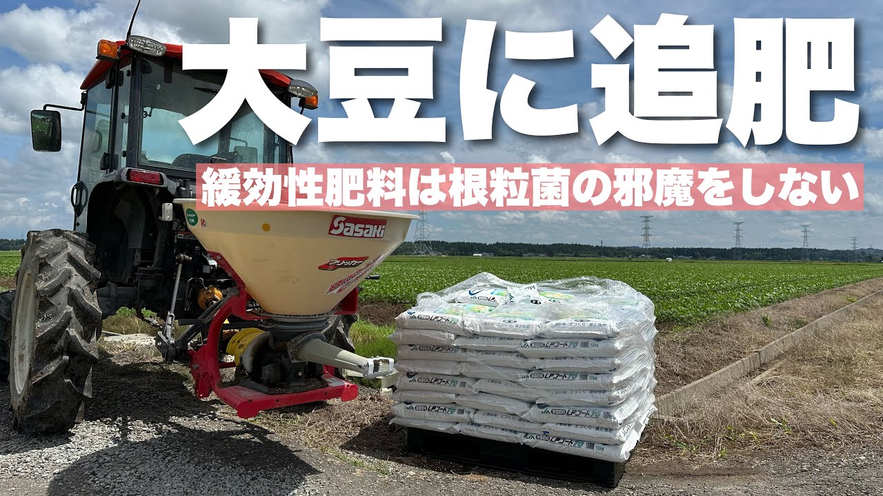 大豆 の 追肥