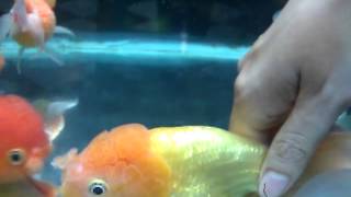 WP 20120719 055302Z