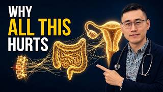 The Nervous System Link Between Your Back, Gut & Reproductive Organs